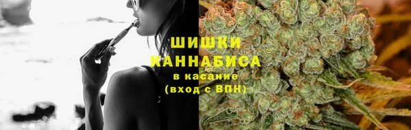 сатива Богородск