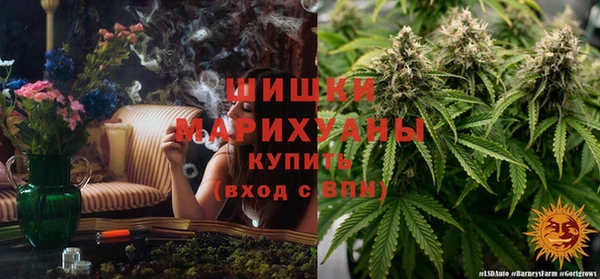 сатива Богородск