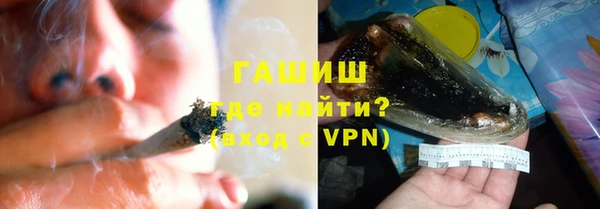 молекула духа Богданович