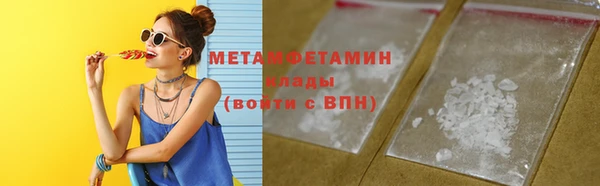 молекула духа Богданович