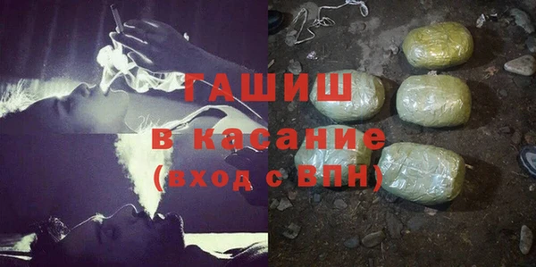 молекула духа Богданович