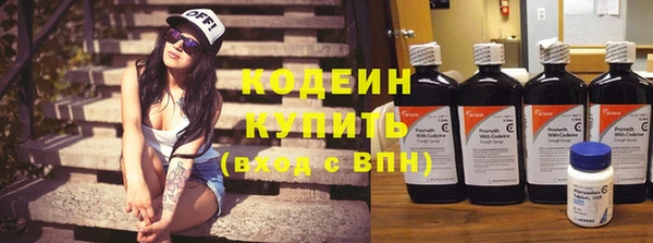 молекула духа Богданович