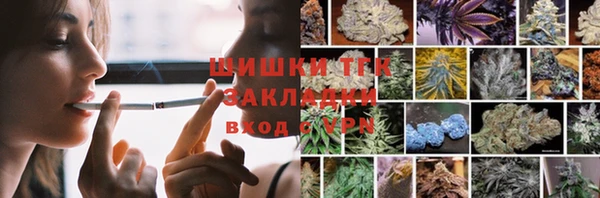 молекула духа Богданович