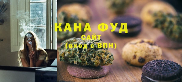 молекула духа Богданович