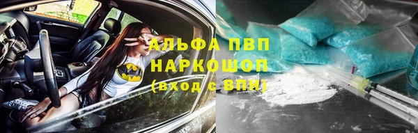 сатива Богородск