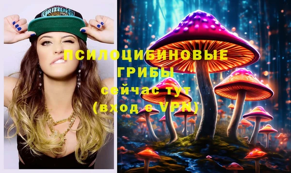 молекула духа Богданович