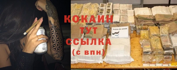 молекула духа Богданович