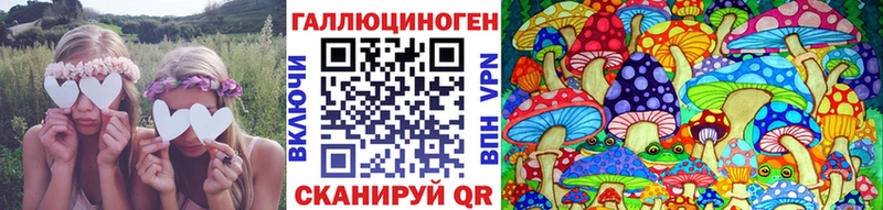 Галлюциногенные грибы прущие грибы  Кущёвская 