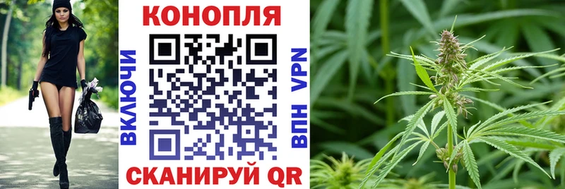Конопля OG Kush  Кущёвская 